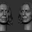 Screenshot_1.jpg Severus Snape Head