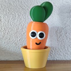 CrazyCarrot1.jpg 3D-Datei Verrückte Karotte・3D-Drucker-Vorlage zum herunterladen