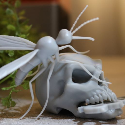 IMG_2213.JPG Mosquito Model