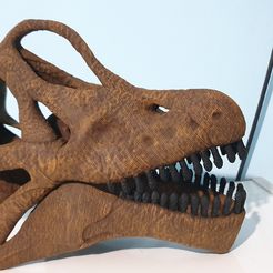 brachiosaurus-skull-model-3d-print-1.jpg Brachiosaurus skull 3d print