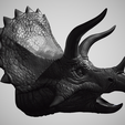 Triceratops-4.png Triceratops Head