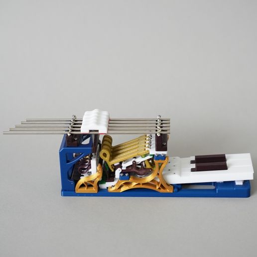 DSC02567.jpg Mécanisme d'action du piano à queue (5 touches)