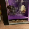 Cricket_Sanctuary_View.JPEG Tarantula Hide (T Hide)