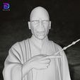 10.jpg Lord Voldemort Harry Potter Action Figures Custom 3D Print Model 3D print model