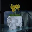 Low_14.jpg Skull Vase