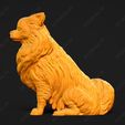 3530-Chihuahua_Long_Coat_Pose_04.jpg Chihuahua Long Coat Dog 3D Print Model Pose 04