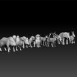 lo1.jpg Low poly animals pack for game unity3d and ue5