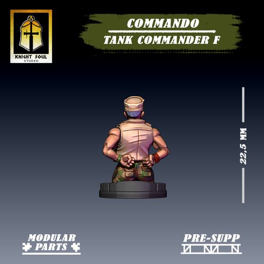Cdo-Tank-CF-6.jpg Командир танка коммандос F