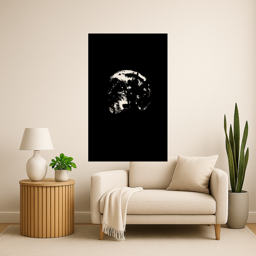 Death Note Kiras With A Hood