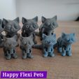 IMG_20220912_103654.jpg STL file Busya the print in place flexible toy cat・3D printing model to download
