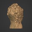 I14.jpg Low Poly Lion Bust