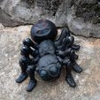 Niedliche Flexi Print-in-Place Spinne