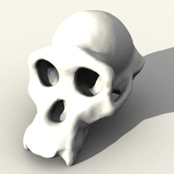 Capture d’écran 2018-05-14 à 14.29.23.png Бесплатный STL файл Chimpanzee Skull・Модель 3D-принтера для загрузки
