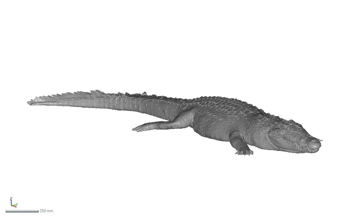 croco-2.jpg STL file Crocodile・3D print design to download, Phil-creation