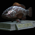 Dusky-grouper-2.png fish dusky grouper / Epinephelus marginatus statue detailed texture for 3d printing