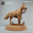 samo-konj-naslov.png War horse, samurai war horse mount