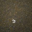 5.jpg Wet Road 8K PBR Texture