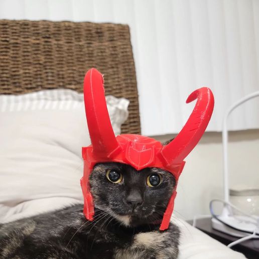 3D printable LOKI CAT - Helmet • Cults