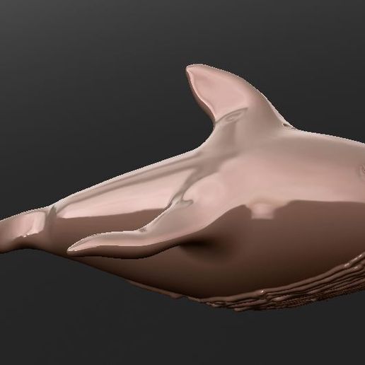 whale3.jpg whale