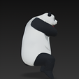 Captura-de-tela-2025-11-30-152344_742x898.png Panda