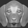 3.jpg Puppy of Dachshund dog head for 3D printing