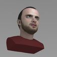 jesse-pinkman-breaking-bad-bust-ready-for-full-color-3d-printing-3d-model-obj-stl-wrl-wrz-mtl (14).jpg Jesse Pinkman Breaking Bad bust ready for full color 3D printing