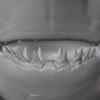 Carcharodon3D_08.jpg White shark (Carcharodon carcharias)