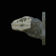 my_project-1-5.png t-rex head trophy on the wall / two faces / dinosaur