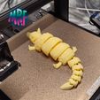 01.jpg Articulated Armadillo