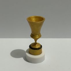 IMG_1653.jpg Coppa Italia Trophy