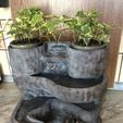 IMG_1216.jpg Homemade waterfall with plants.