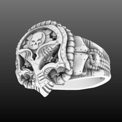 Screenshot-2023-10-25-170213.jpeg Steampunk Vanguard Totenkopf Ring