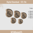 2.png Seashell Clay Cutter Digital STL File for Polymer Clay | DIY Jewelry and Cookie Making Tool | 5 sizes | model 02