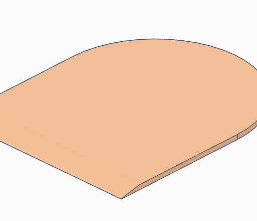 Paint coat applicator