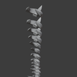 4.png TWISTED WONDERLAND - MALLEUS DRACONIA Vértebras de la espalda