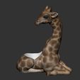 WhatsApp-Image-2021-07-14-at-11.03.28.jpeg Giraffe Vase