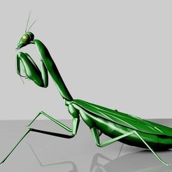mantis_wip.jpg Fichier STL gratuit Mante religieuse・Plan à télécharger et à imprimer en 3D