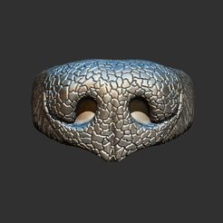 AH_1.jpg Archivo STL Anillo Hocico・Diseño de impresora 3D para descargar