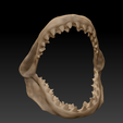 Ekran-Resmi-2024-07-28-22.54.25.png Shark Teeth 3D Print Model: Realistic and Detailed Design