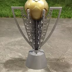 IMG_20220622_231955-2.jpg turkey super league football cup