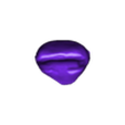 output_Neighbor tooth_21.stl Dental model with removable dies