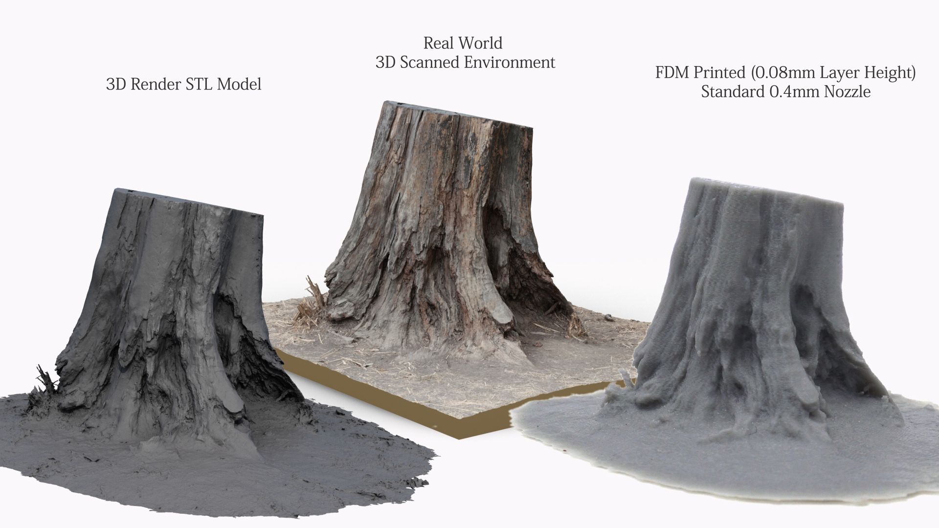 Free STL file 3D Scanned Tree Stump for Tabletop Scatter Terrain・3D