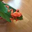 WhatsApp-Image-2024-02-10-at-06.44.36-2.jpeg Cute jointed frog