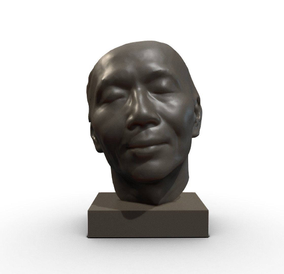 My face - Download Free 3D model by mwopus (@mwopus) - Sketchfab20181127-007527.jpg Download STL file My face • 3D printing object, MWopus