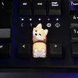 corgi_01.jpg Puppy Corgi keycaps - Mechanical Keyboard