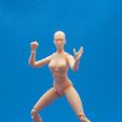 DSC_0020.jpg Articulated Poseable Female Figure