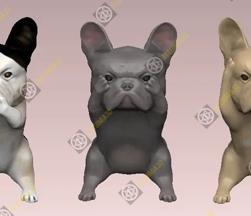 three-wishes-french-bulldog2.jpg three wise french bulldog