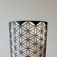 20240826_152255.jpg Flower of life 3. lampshade