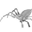 Immagine1.jpg Файл STL Шарнирный гибкий робот-паук тарантул 3D головоломка・Шаблон для загрузки и 3D-печати