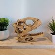 IMG_20210619_151604.jpg Majungasaurus skull 3D Print - dinosaur